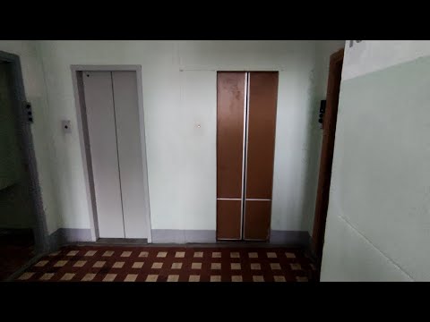 Видео: 🏙️12 этажка серии II-18! Лифты (КМЗ-1996 г.в) И (КМЗ-2012 г.в), Москва, Чертановская 31к1 подъезд 1