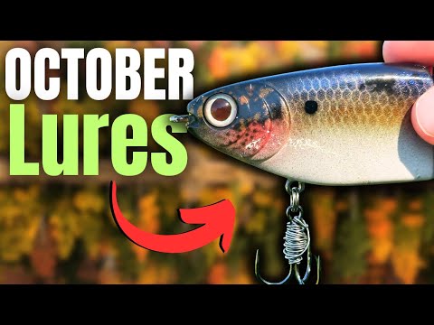 Видео: Октябрьские приманки BASS не могут устоять