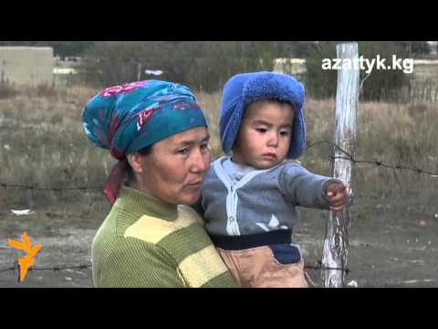 Видео: Нургазы: Эми мектептен такыр калбайм