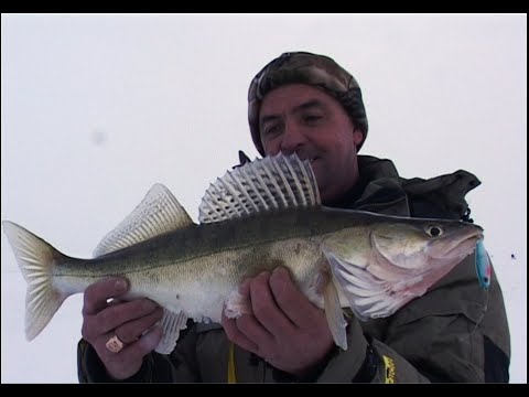 Видео: Подледная ловля судака и берша  на Куйбышевском водохранилище.