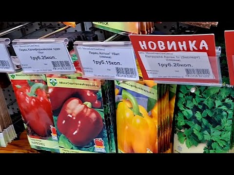 Видео: Наши покупки в магазине Насенне 