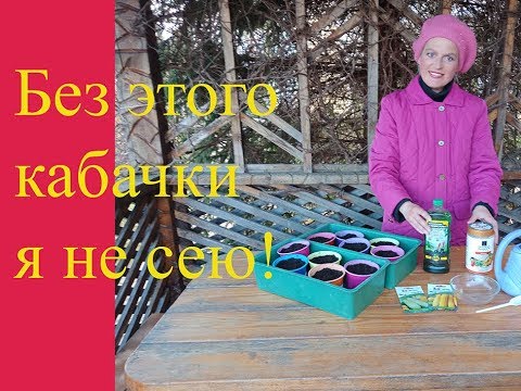 Видео: Лучший способ посева кабачков на рассаду!