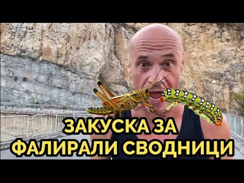 Видео: НАПАДАТ НИ ЩУРЦИ И ГЪСЕНИЦИ. ВТОРА ЧАСТ.