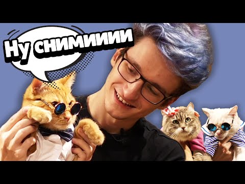 Видео: Одеваем котиков! (Что-то пошло не так😅)