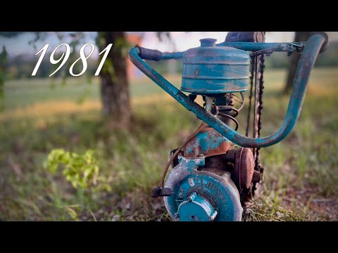 Видео: Восстановили старую бензопилу "Дружба" 1981г | Old chainsaw restoration