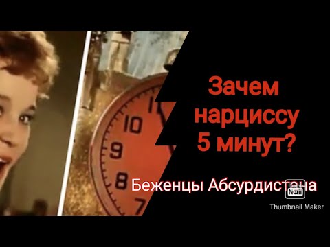 Видео: Зачем нарциссу 5 минут?