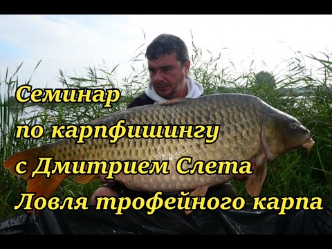 Видео: Семинар по карпфишингу с Дмитрием Слета. Особенности ловли трофейного карпа.