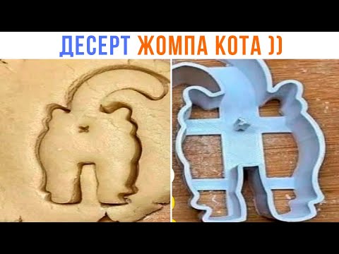 Видео: А ЧТО СЕГОДНЯ НА УЖИН? ))) | Приколы с котами | Мемозг 1503