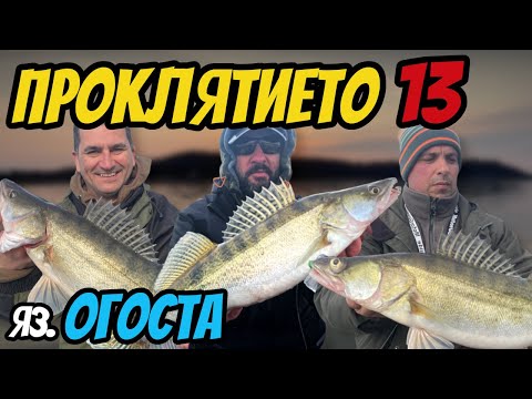 Видео: Динамичен РИБОЛОВ на БЯЛА РИБА на яз. Огоста до гр.  Монтана!