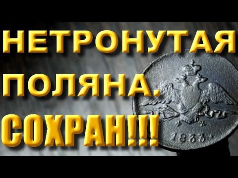Видео: Чудо-полянка с находками! Коп с X-Terra 705 Nel Storm