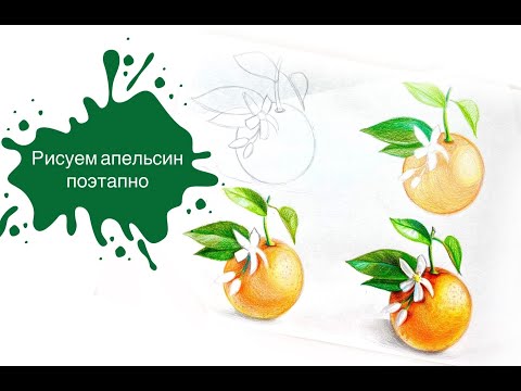 Видео: Рисуем Апельсин Поэтапно! Урок по рисованию цветными карандашами для начинающих🍊