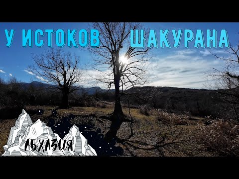 Видео: travel #35 | Кодорское ущелье Шакуранский каньон part1.