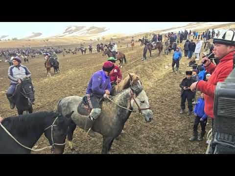 Видео: Жалал-Абад  Келдиш Балбан ноября 2025 г.
