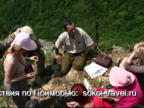 Видео: НЛО в Приморском крае-Высота 611 (Дальнегорск).mpg