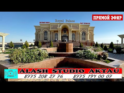 Видео: АЛИХАН & ДИНАРА WEDDING DAY 31.10.2025