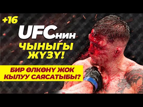 Видео: ММА, UFCнин чыныгы жүзү!