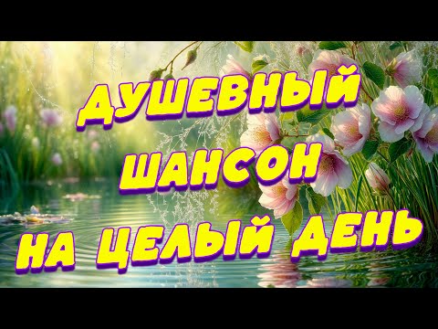 Видео: Заходи и Слушай! Здесь самые Лучшие песни!