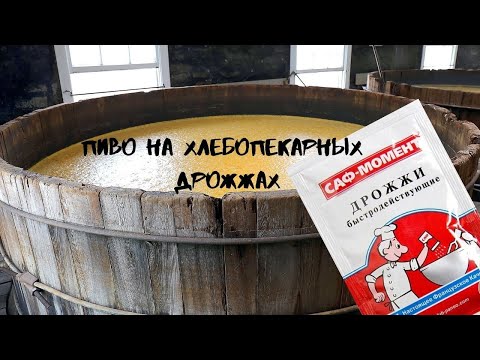 Видео: Домашнее пиво на хлебопекарных дрожжах!Вылить или выпить?Дегустация!Дрожжи за 17 рублей! ZOV