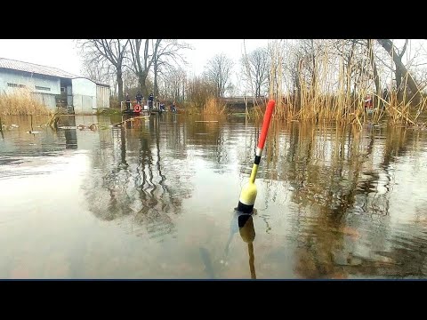 Видео: У ДОРОГИ  В ГАРАЖАХ. РЫБАЛКА НА ПОПЛАВОК В ЯНВАРЕ!!!