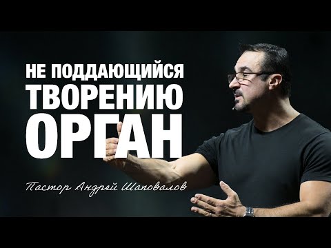 Видео: «Не поддающийся творению орган» Пастор Андрей Шаповалов (21/09/25)