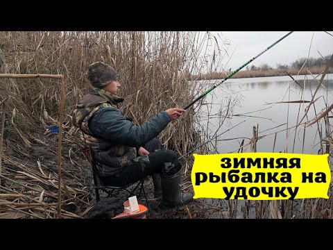 Видео: ЗИМНЯЯ РЫБАЛКА НА ПОПЛАВОЧНУЮ УДОЧКУ В КАМЫШАХ