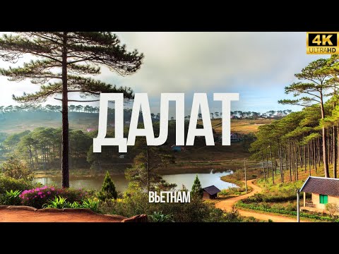 Видео: Почему Далат это лучший горный курорт во Вьетнаме?