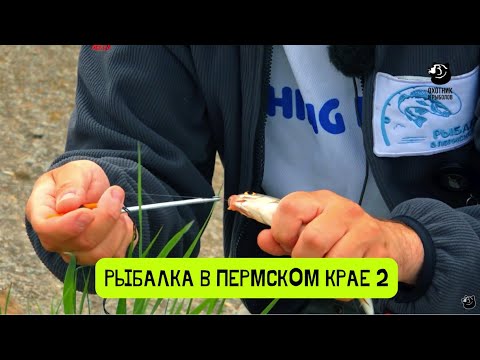 Видео: Ловля плотвы на полудонку  // Рыбалка в Пермском крае-2