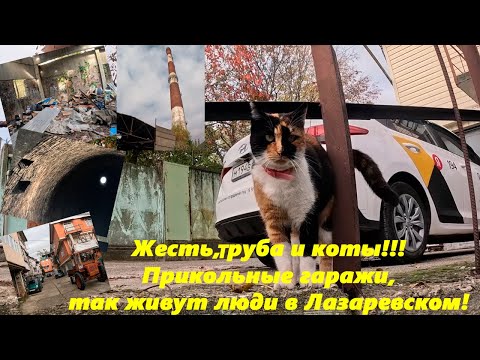 Видео: Жесть, труба ,коты и прикольные гаражи!  Как живут люди в Лазаревском! Ноябрь 2025.