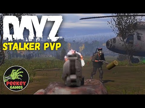 Видео: ИМБОВЫЕ КРОВОСОСЫ / DAYZ STALKER PVP / 2я серия