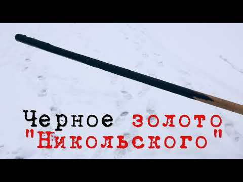 Видео: Скрытые работы по реабилитации озера Ломпадь, г.Людиново