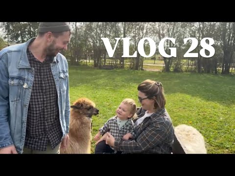 Видео: VLOG 28: про развивашки с года, Ранчо «Авенсис» и распаковки 