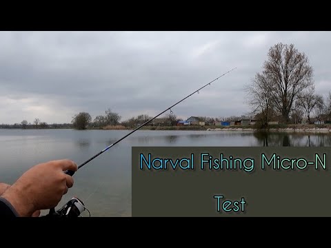 Видео: Первый тест Narval Micro-N 602XUL-S 0.3-3g,продолжаем поиски