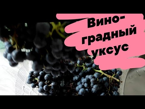 Видео: Виноградный уксус (домашний мягкий уксус)