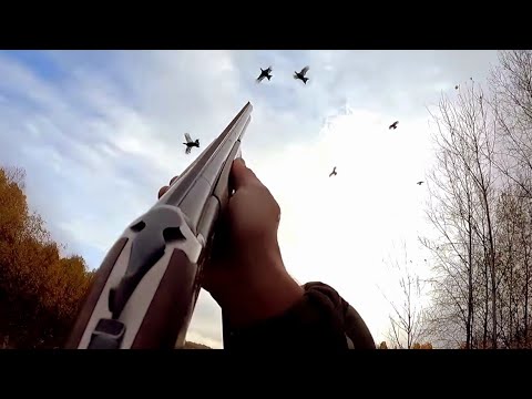 Видео: Лучшие Вылеты и Выстрелы сезона 2022- 2023гг. Охота на Тетерева!