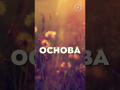 Видео: #БлагоВест ✴ ОСНОВЫ