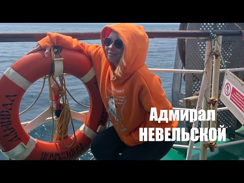 Видео: День 18. Теплоход Адмирал НЕВЕЛЬСКОЙ или как добраться на Курилы. Обзор.