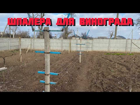 Видео: Шпалера для винограда