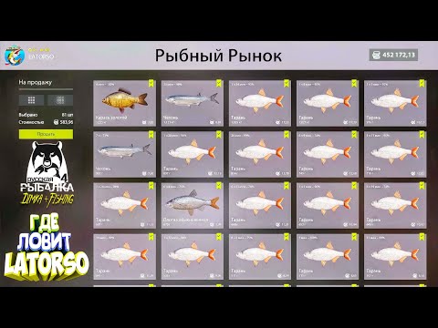 Видео: Русская рыбалка 4.🎣 р. Северский Донец 🐟🐟🐟...💦 ГДЕ ЛОВИТ LATORSO 👀