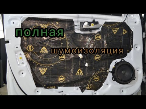 Видео: Грамотная ПОЛНАЯ ШУМОИЗОЛЯЦИЯ дверей РЕНО!