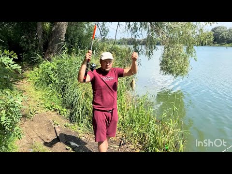 Видео: Відпочинок коло річки‼️ Варимо рибну юшку, та ловимо карасиків‼️