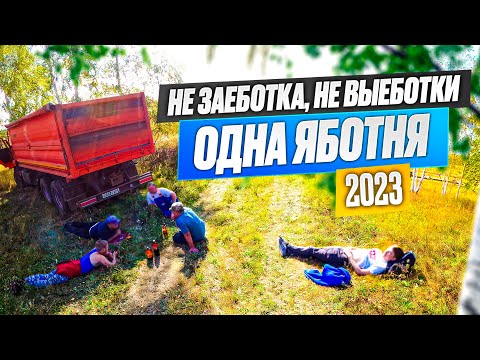 Видео: Ждём и молотим сорную сою и тут же заделываем её дискатором Pöttinger на Claas Axion 940.