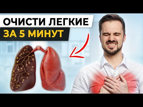 Видео: Как продлить работу легких до 99 ЛЕТ? / Простые практики от любых проблем с легкими!