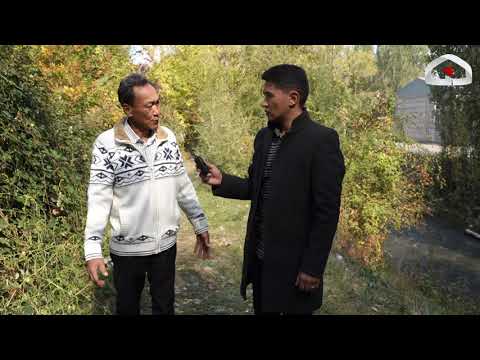 Видео: Балдарынан неберелерине чейин өткөн майыптык / Чернобыль апаатынын катышуучулары  / Мекенге кызмат