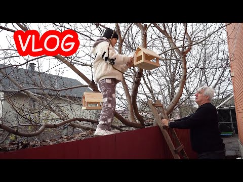 Видео: VLOG Алиса и папа поехали в Лондон. Вешаем птичкам кормушки