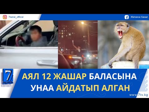 Видео: ЛГБТ ӨКҮЛДӨРҮ МАМИЛЕСИН КООМГО АЧЫК ЧЫГАРУУГА ТЫЮУ САЛЫНАБЫ?