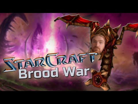 Видео: StarCraft: Brood War. Зерги. 7 ноябрь 2024