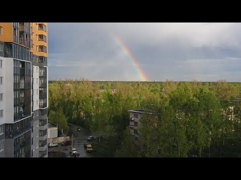 Видео: Любимая квартира в продаже 