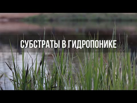 Видео: Субстраты в гидропонике