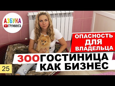 Видео: Зоогостиница как бизнес. Гостиница для животных - опасность для постояльцев?