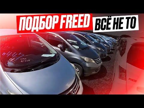 Видео: Еле подобрали подходящий Honda Freed. Авторынок зеленый угол. Владивосток. 7 сентября 2022